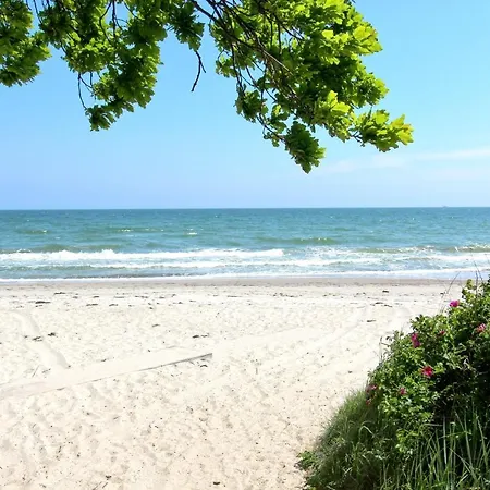 Strandresort Rex Rugia Ferienwohnung 10-4 Mit Sauna- Und Schwimmbadnutzung Im Ahoi Sellin *