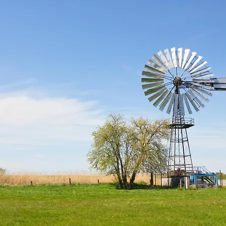 Strandresort Rex Rugia Ferienwohnung 10-4 Mit Sauna- Und Schwimmbadnutzung Im Ahoi Sellin Lobbe